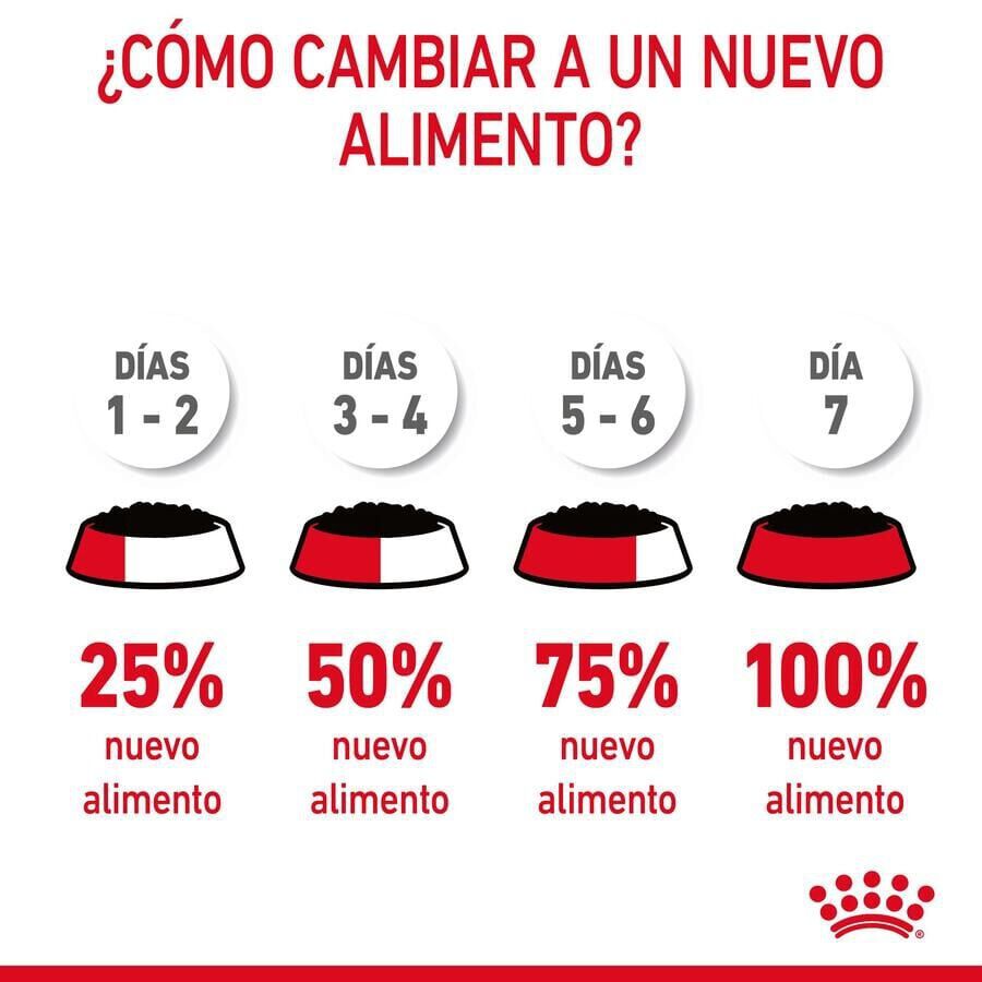 85 g Royal Canin Urinary Sobre en Salsa para gatos, , large indicador imagen numero 4