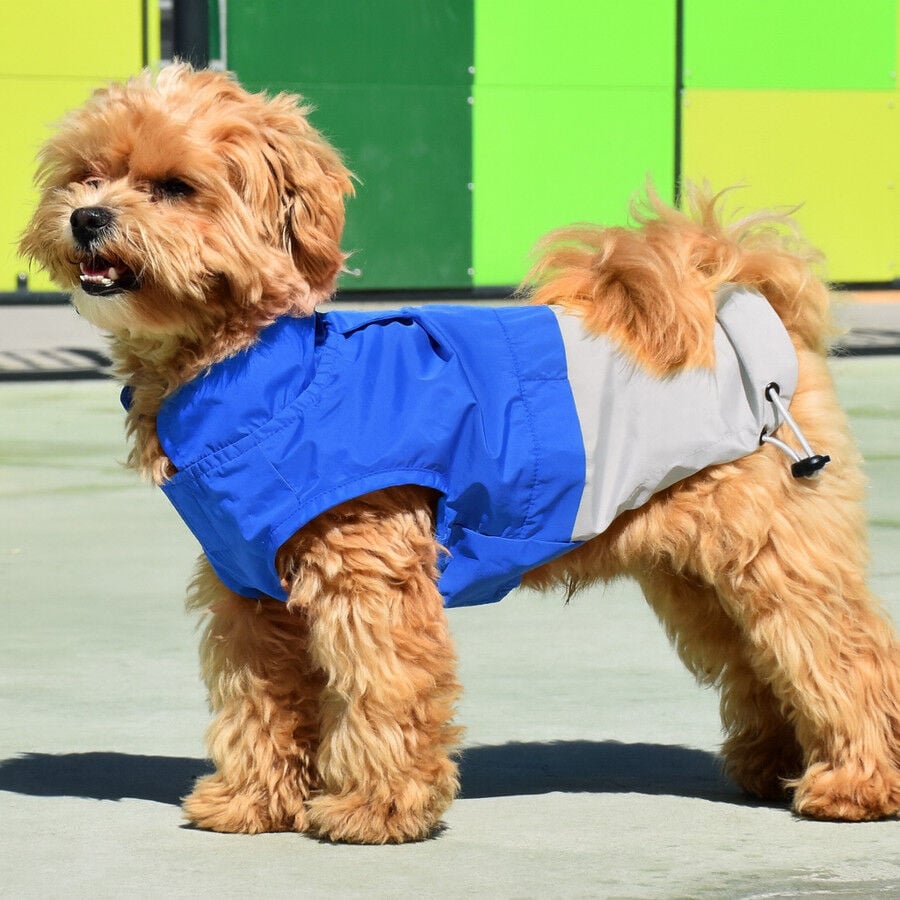 Nayeco X-TRM Chubasquero Azul y Gris para perros, , large Imagen numero 1