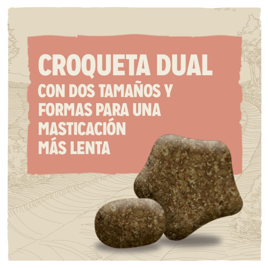 14 kg Dog Chow Sensitive Salm&oacute;n pienso para perros, , large Imagen numero 3