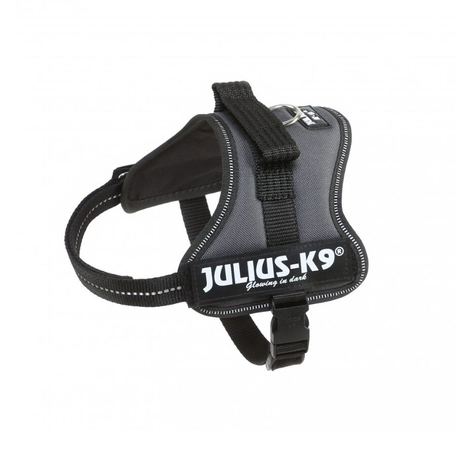 Julius K9 Arn&eacute;s Gris para perros