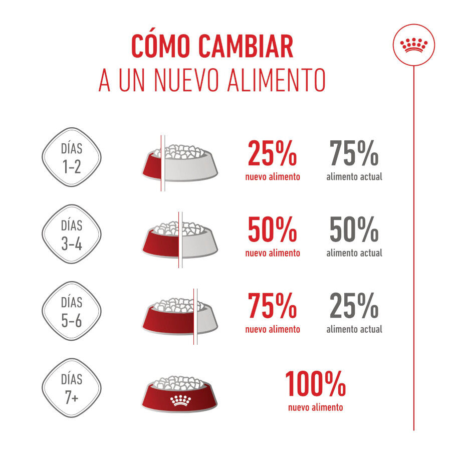 15 kg Royal Canin Junior Giant pienso para perros, , large Imagen numero 9