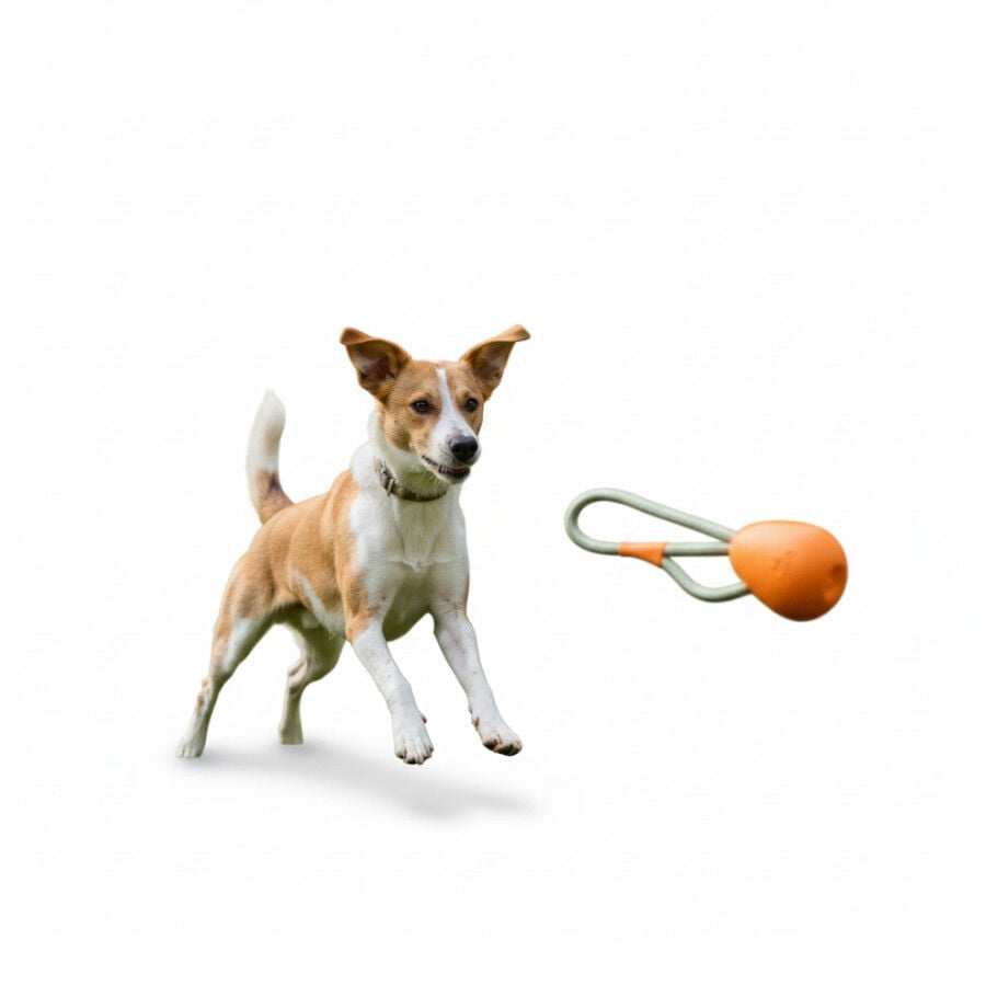 BECO Mordedor de Goma con Cuerda Naranja para perros