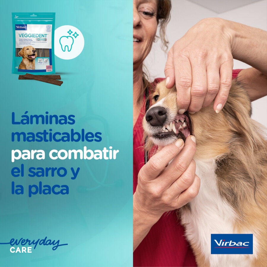 15 barritas Virbac Snacks Dentales VeggieDent Fresh para perros Toy, , large indicador imagen numero 5