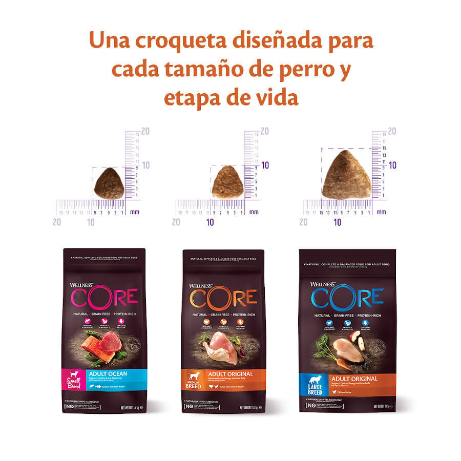 5 kg Wellness Core Adult Small Healthy Pavo pienso para perros, , large Imagen numero 3