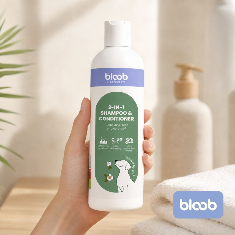 Bloob 2 en 1 Champ&uacute; & Acondicionador para perros
