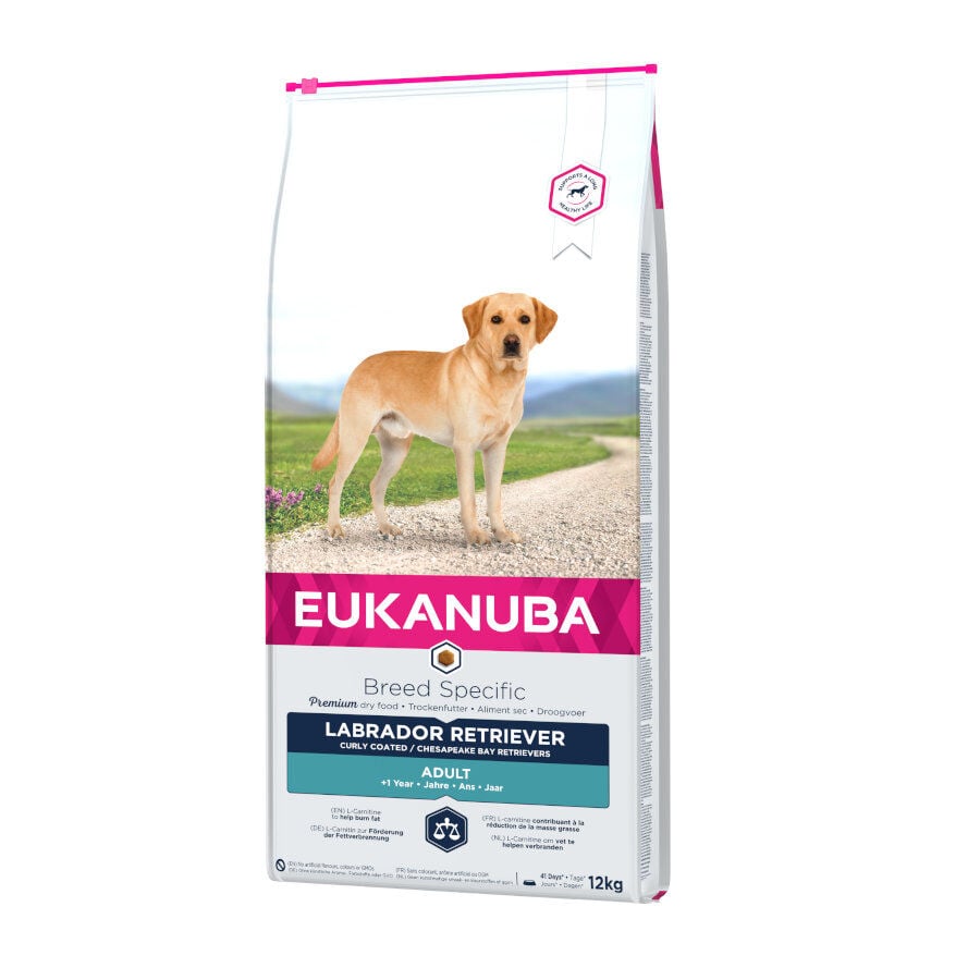 Eukanuba Breed Specific Labrador 12kg Imagen numero 1