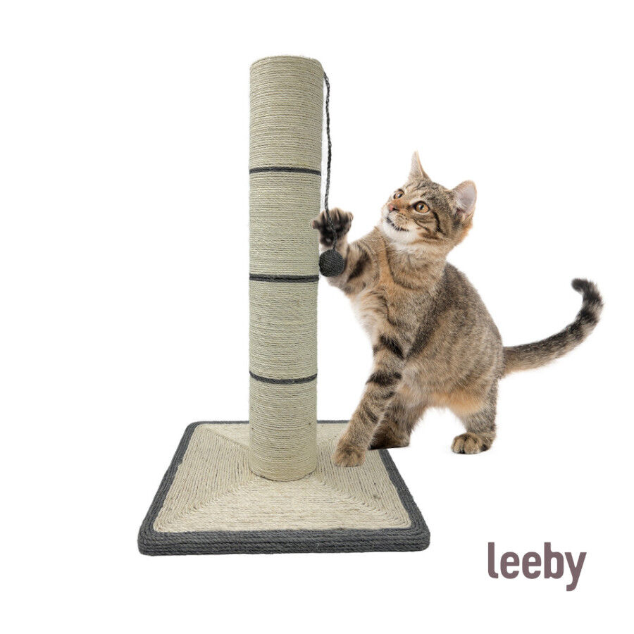 Leeby Isidoro rascador de sisal con juguete para gatos, , large Imagen numero 2