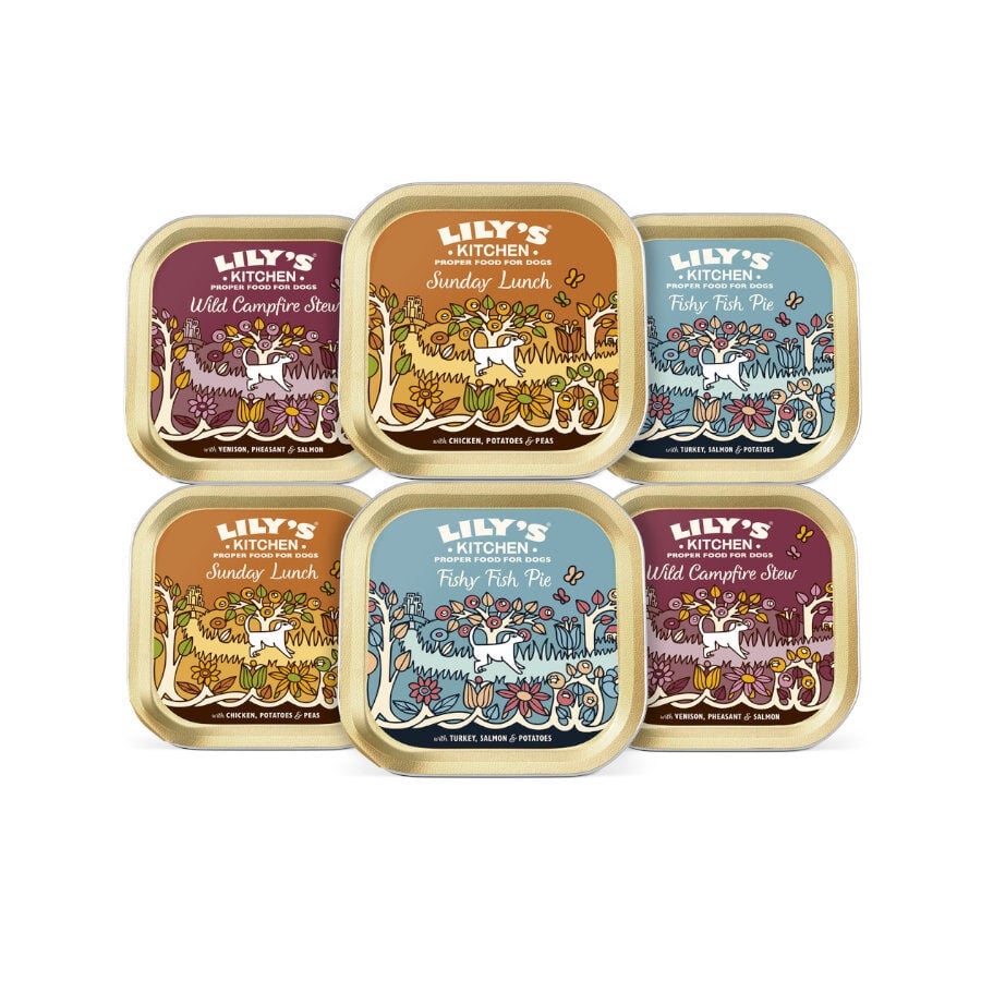 6 tarrinas x 150 g Lily's Kitchen Grain Free tarrinas para perros, , large Imagen numero 2