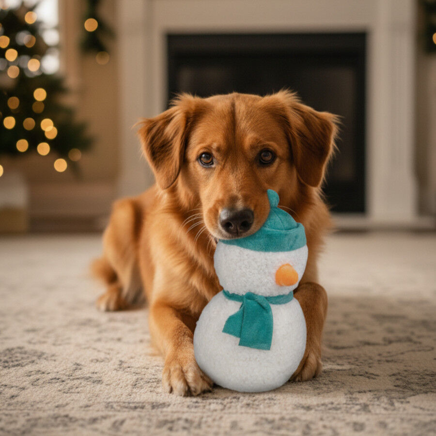Wonder Christmas Peluche Mu&ntilde;eco de Nieve Navide&ntilde;o para perros, , large Imagen numero 3