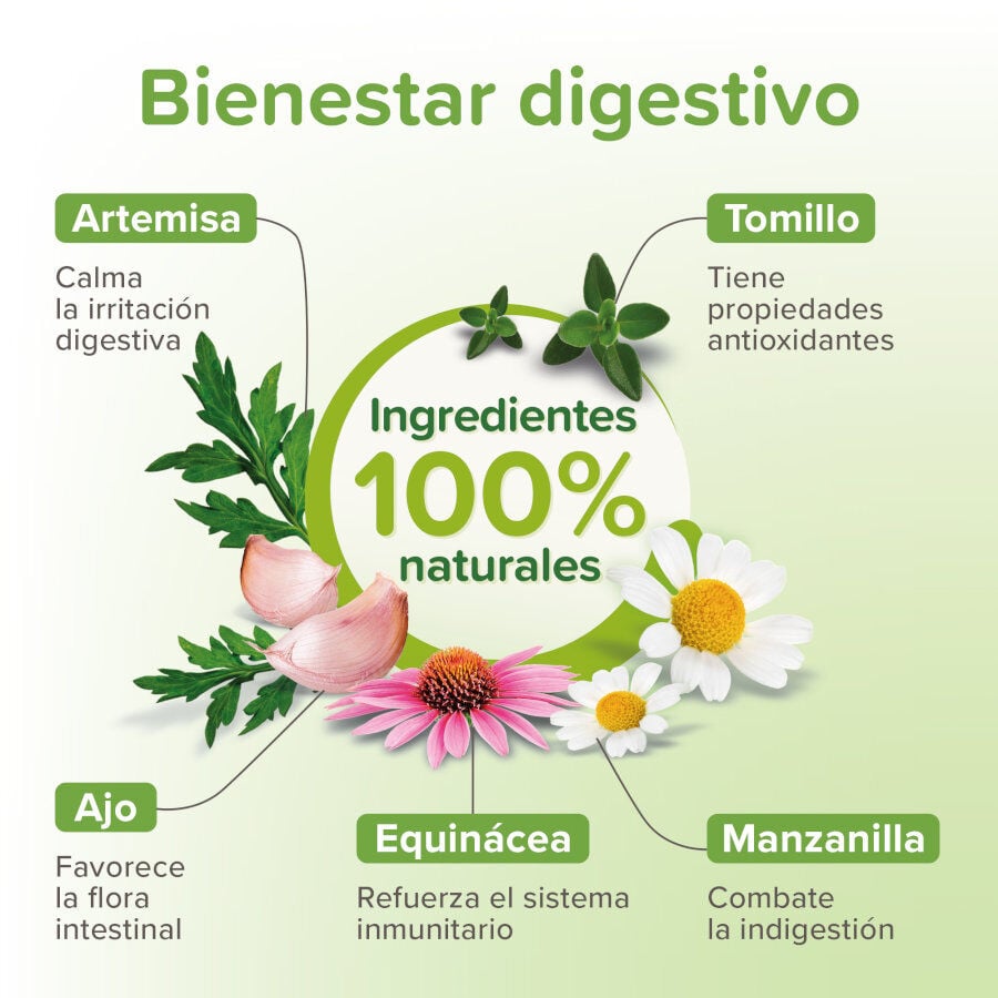 Beaphar Vermipure Repelente Interno Natural en comprimidos para gatos y gatitos, , large Imagen numero 3