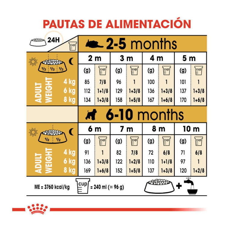 1.5 kg Royal Canin Puppy Miniature Schnauzer pienso para perros, , large Imagen numero 2