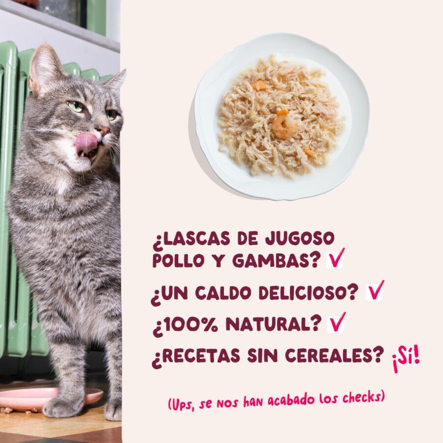 70 g Edgard & Cooper Filetes de Pollo y Gambas Lata para gatos, , large indicador imagen numero 4