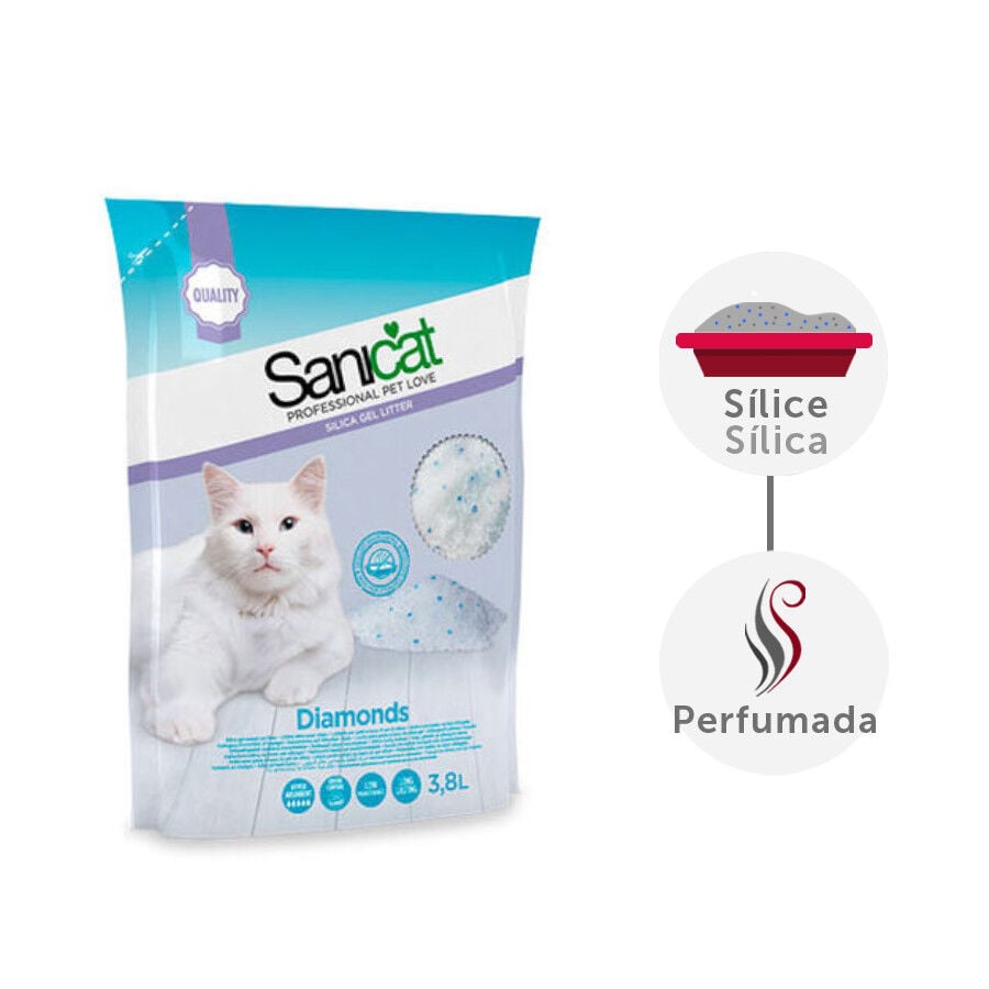 3.8 L Sanicat Diamonds Arena S&iacute;lice, , large indicador imagen numero 2
