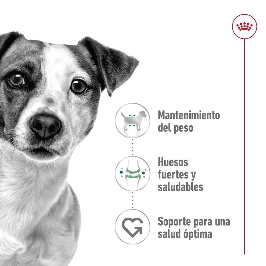 9 kg (8 + 1 kg gr&aacute;tis!) Royal Canin Mini Adult pienso para perros, , large indicador imagen numero 5