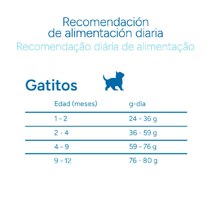 2 kg Criadores Cient&iacute;fico Mother & Baby Cat pollo pienso para gatos, , large indicador imagen numero 10