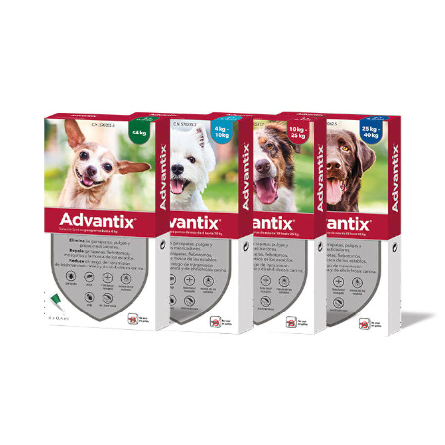 0-4 kg (4 uds.)Advantix Pipetas Antiparasitarias para perros, , large indicador imagen numero 5