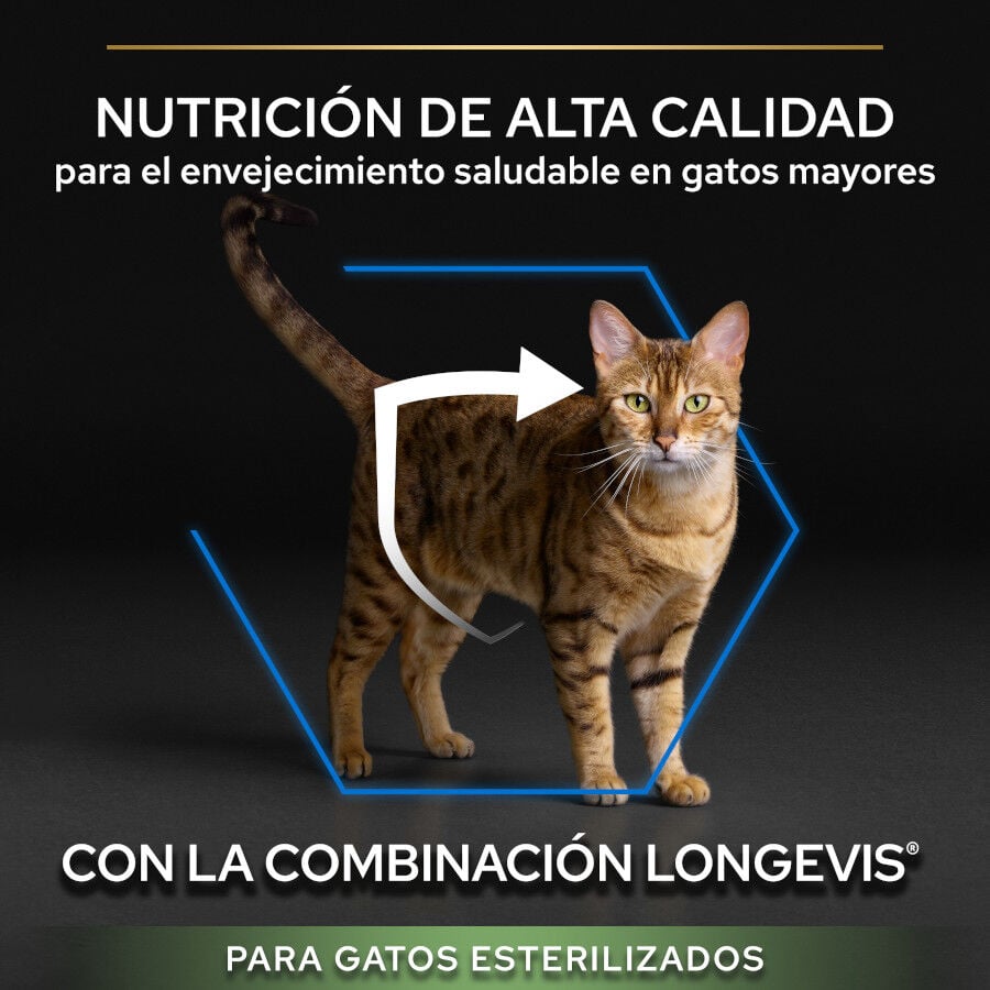 3 kg Pro Plan Senior Sterilized Pavo Pienso para gatos, , large indicador imagen numero 6