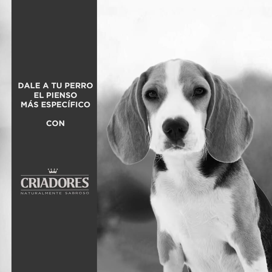 12 kg Criadores Dietetic Hipoalerg&eacute;nico Adulto pienso para perros, , large indicador imagen numero 4