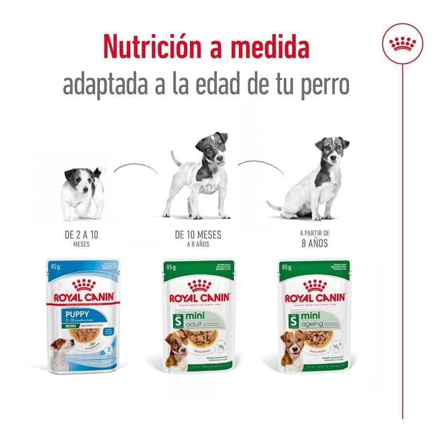85 g Royal Canin Mini Adult sobre en salsa para perros, , large indicador imagen numero 5