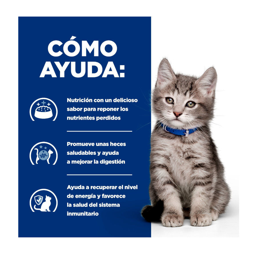 12 latas x 85 g Hill's Prescription Diet I/D Digestive Care Kitten Lata Pollo para gatos, , large indicador imagen numero 4