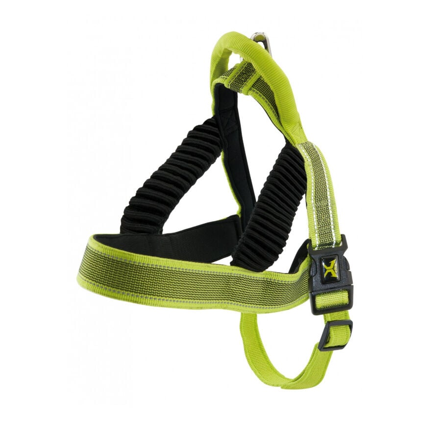 X-TRM Pro Arn&eacute;s Acolchado Lima para perros