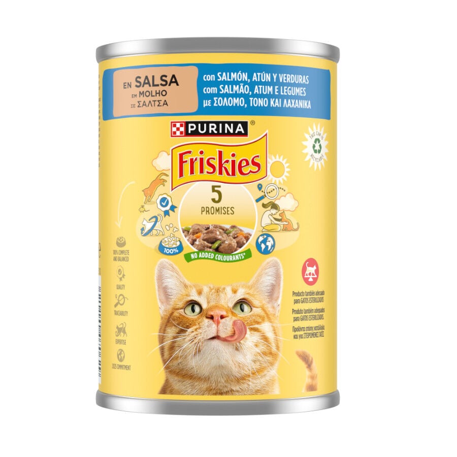 Friskies Adult Salm&oacute;n y At&uacute;n en Salsa lata para gatos