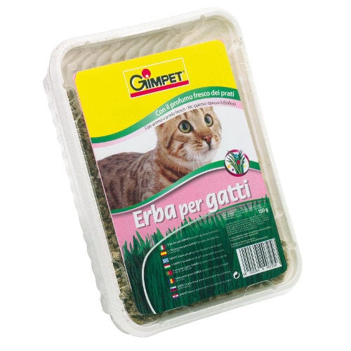 GimPet en bandeja hierba para gatos Imagen numero 1