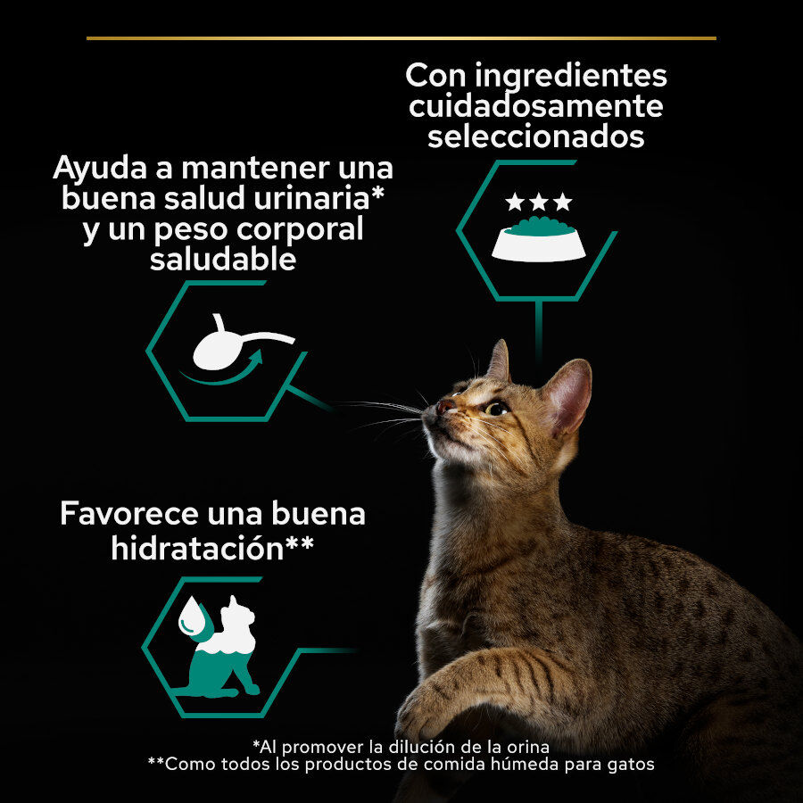 12 latas x 85 g Pro Plan Adult Sterilised Maintenance Salm&oacute;n y At&uacute;n lata para gatos, , large Imagen numero 4
