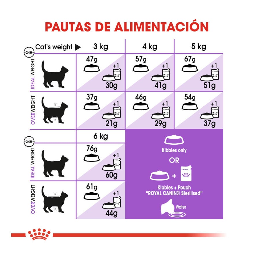 10 kg Royal Canin Regular Sterilised 37 pienso para gatos, , large indicador imagen numero 7