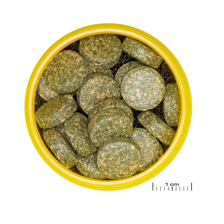 JBL Pronovo Botia Tabletas M Alimento en pastillas para lochas de 1-20 cm, , large indicador imagen numero 2