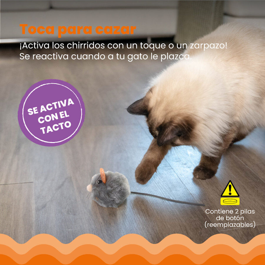 Catstages Squeaky Squeaky Gris Rat&oacute;n de Juguete con Catnip para gatos, , large Imagen numero 5