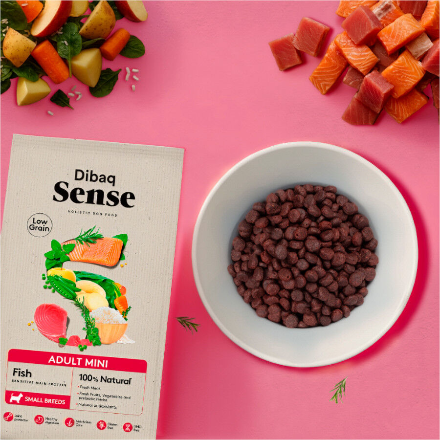 2 kg Dibaq Sense Low Grain Ault Mini Pescado Pienso para perros, , large indicador imagen numero 2