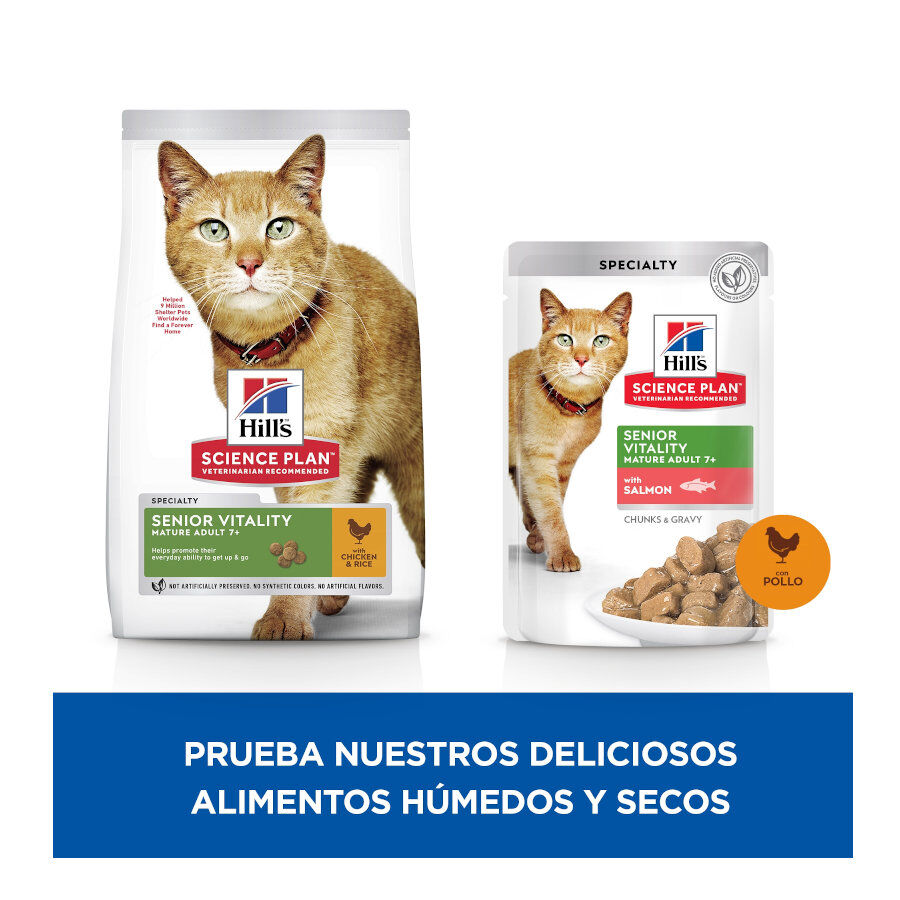 12 sobres x 85 g Hill's Science Plan Senior Vitality Pollo y Salm&oacute;n Sobre en salsa para gatos, , large indicador imagen numero 3