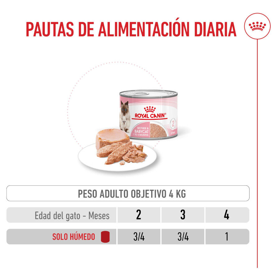 195 g Royal Canin Mother & Baby mousse latas para gatos, , large Imagen numero 8