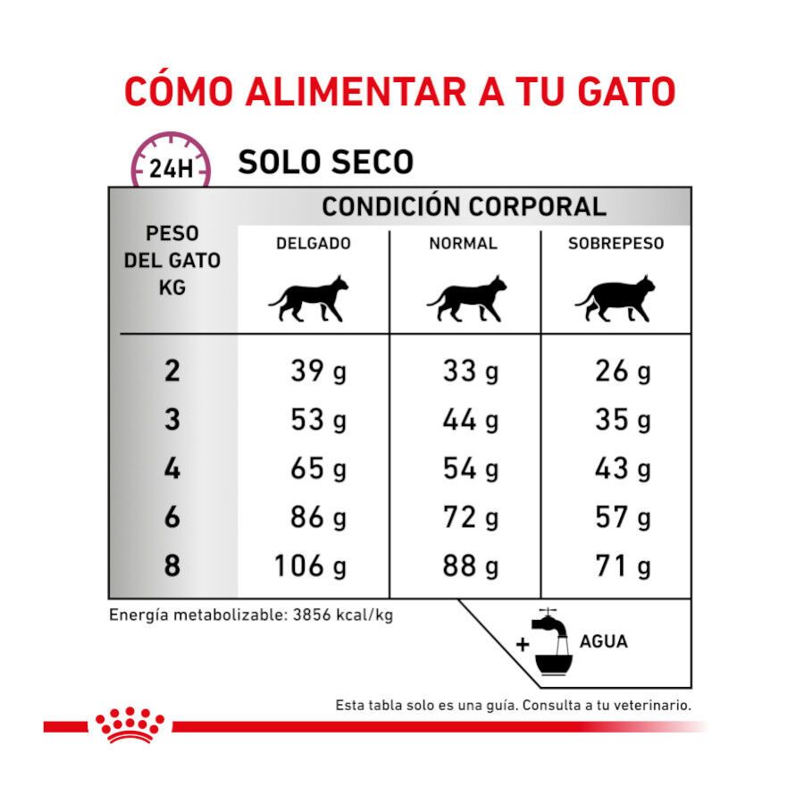 2 kg Royal Canin Veterinary Mobility pienso para gatos, , large indicador imagen numero 8