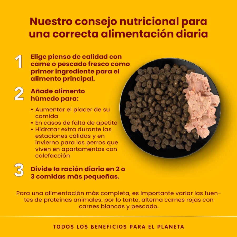 280 g Almo Nature HFC Ternera lata para perros, , large Imagen numero 4