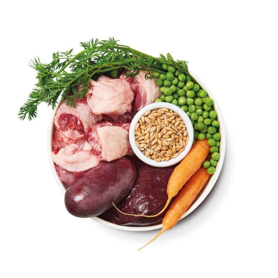150 g Lily's Kitchen Organic pollo tarrina para perros, , large Imagen numero 4
