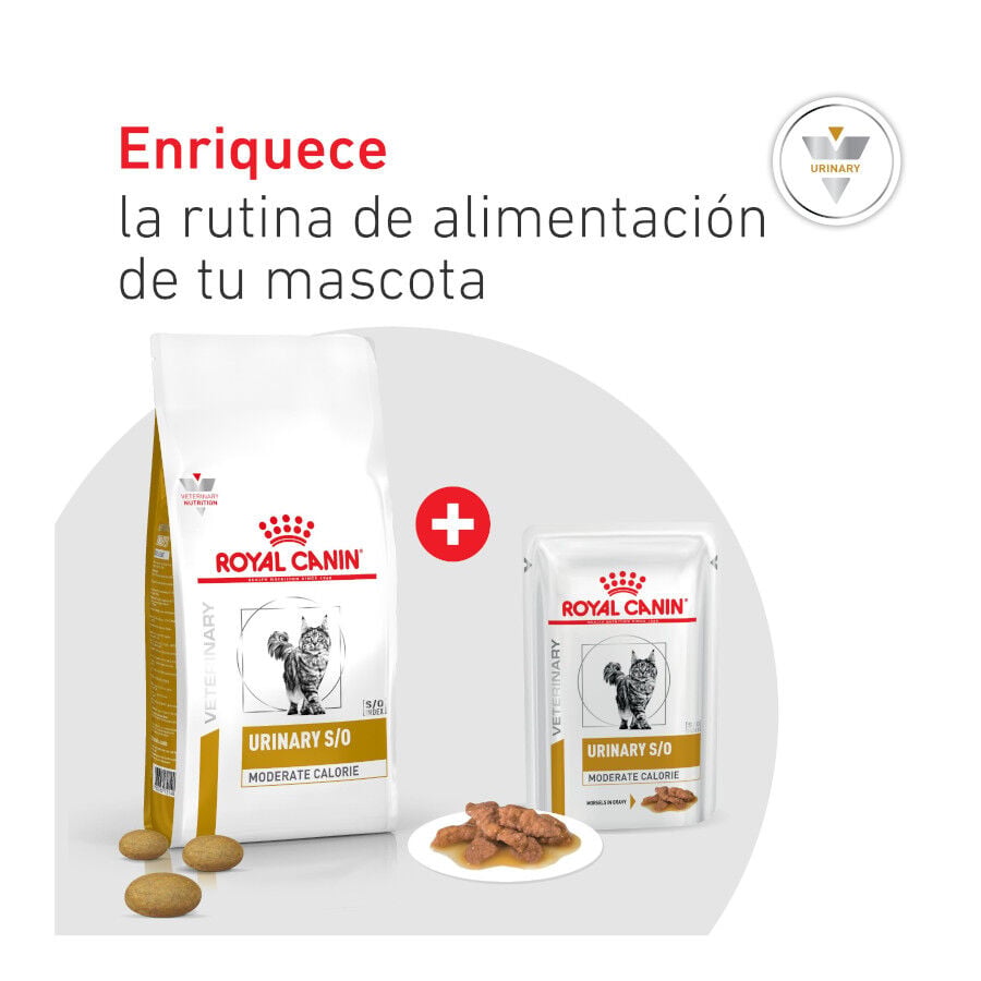 9 kg Royal Canin Veterinary Urinary S/O Moderate Calorie pienso para gatos, , large Imagen numero 8