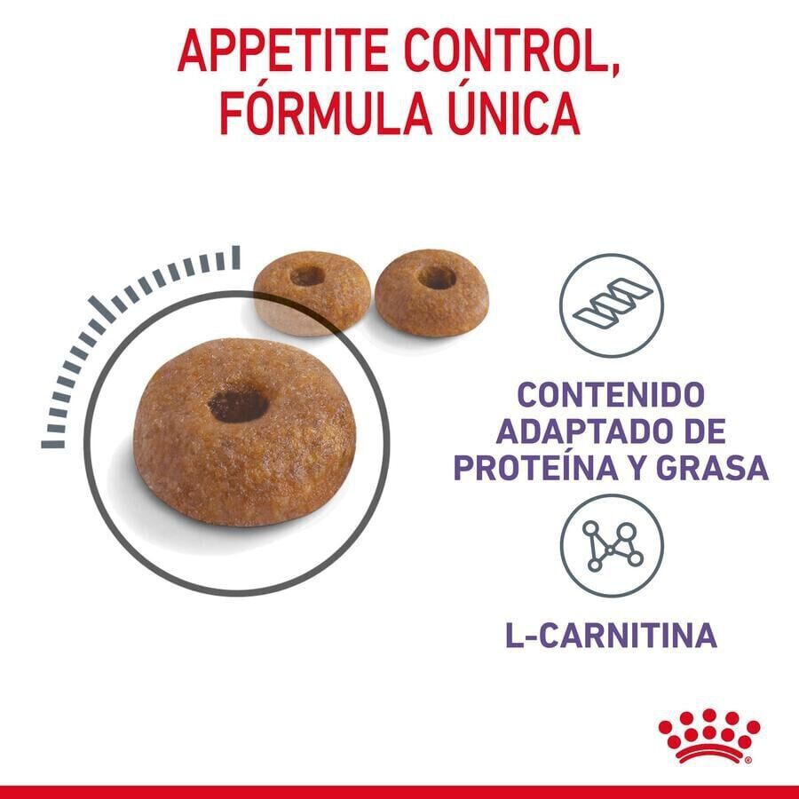 10 kg Royal Canin Appetite Control Care pienso para gatos, , large indicador imagen numero 7