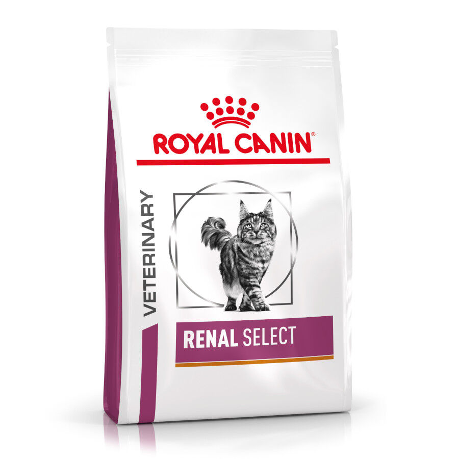 4 kg Royal Canin Veterinary Renal Select pienso para gatos, , large indicador imagen numero 1