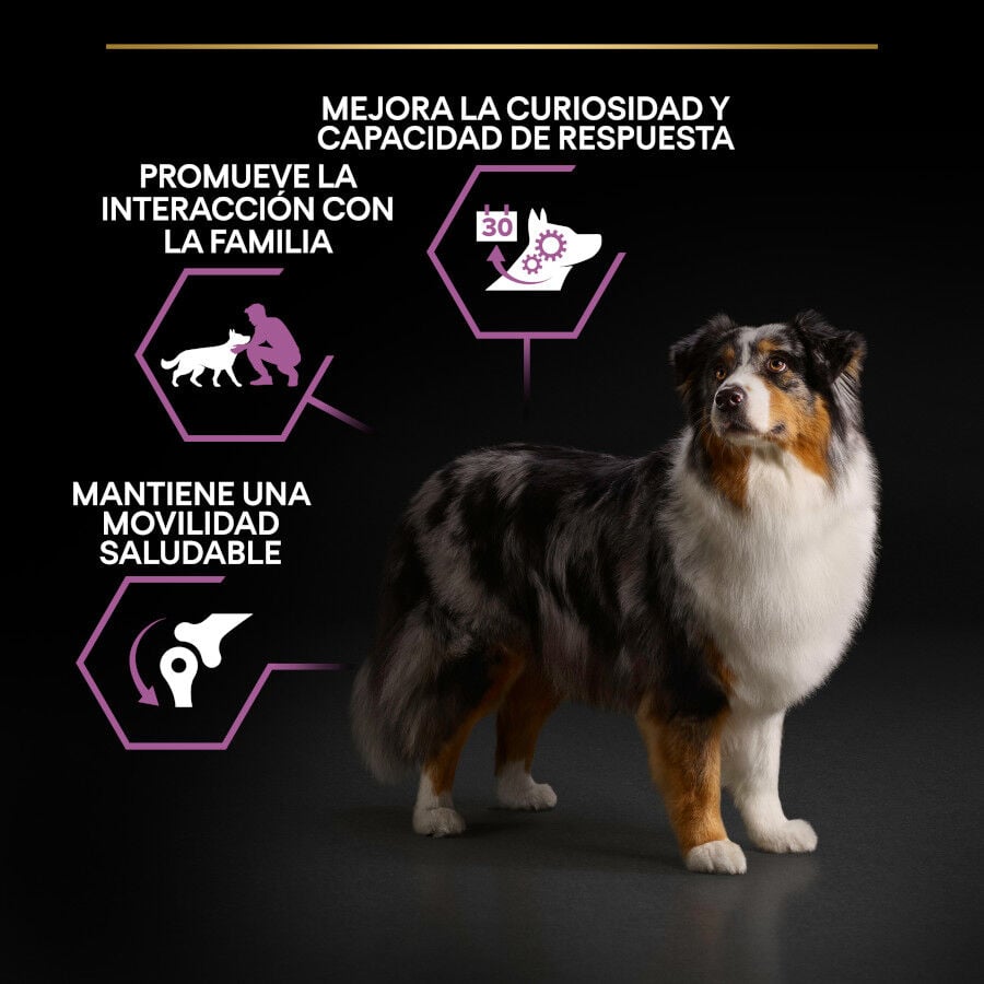14 kg Pro Plan Adult Medium y Large Pollo pienso para perros S&eacute;nior +7, , large indicador imagen numero 3
