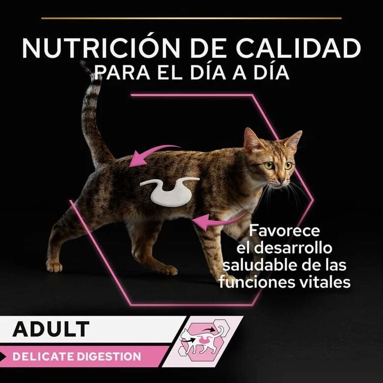 85 g Pro Plan Delicate Digestion con Pavo en Salsa para gatos, , large indicador imagen numero 3