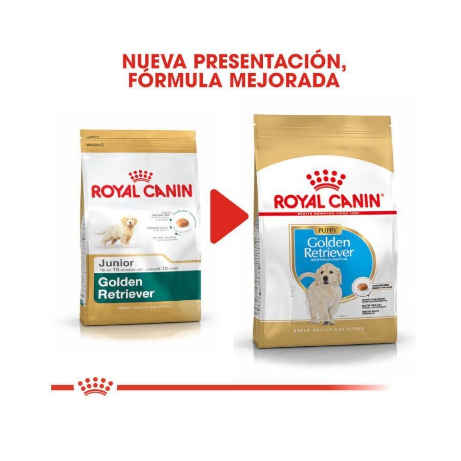 12 kg Royal Canin Puppy Golden Retriever pienso para perros, , large Imagen numero 3