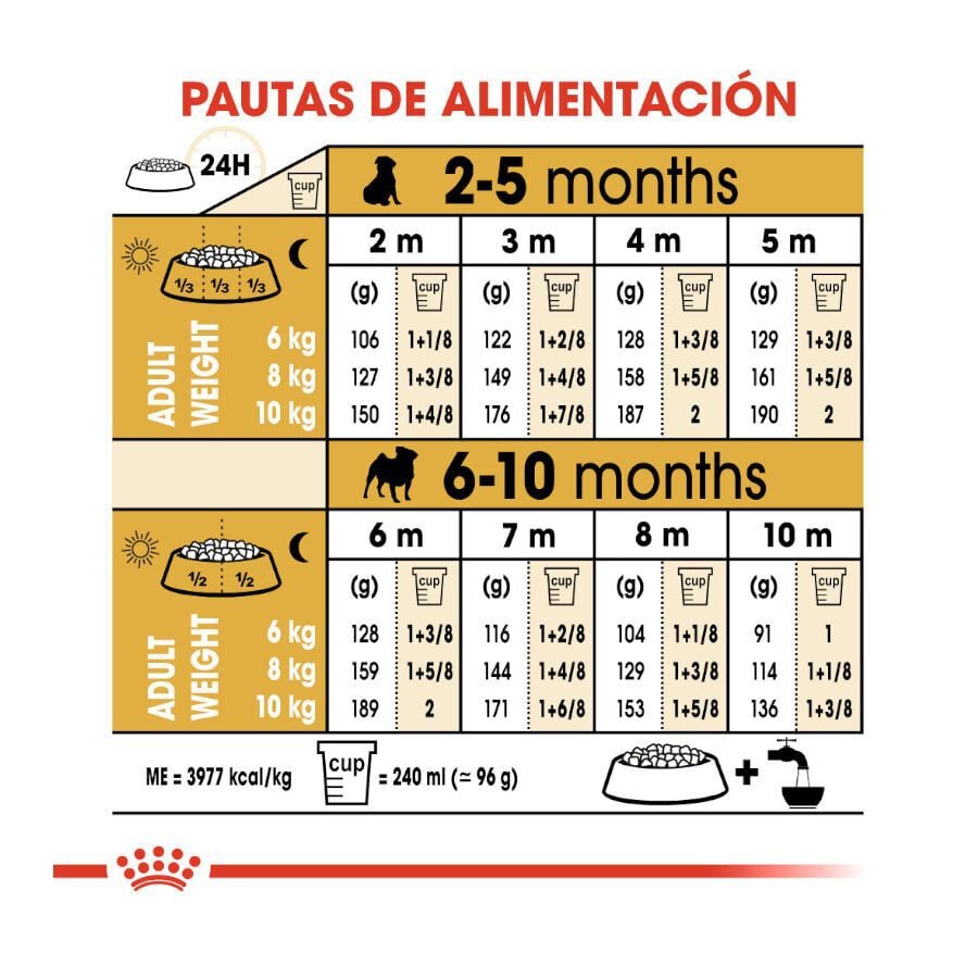 1.5 kg Royal Canin Puppy Pug pienso para perros, , large Imagen numero 9