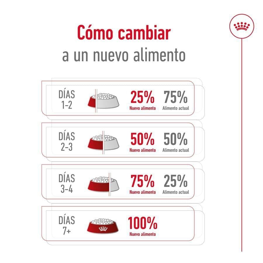 15 kg Royal Canin Medium 7+ Adult pienso para perros senior, , large Imagen numero 11