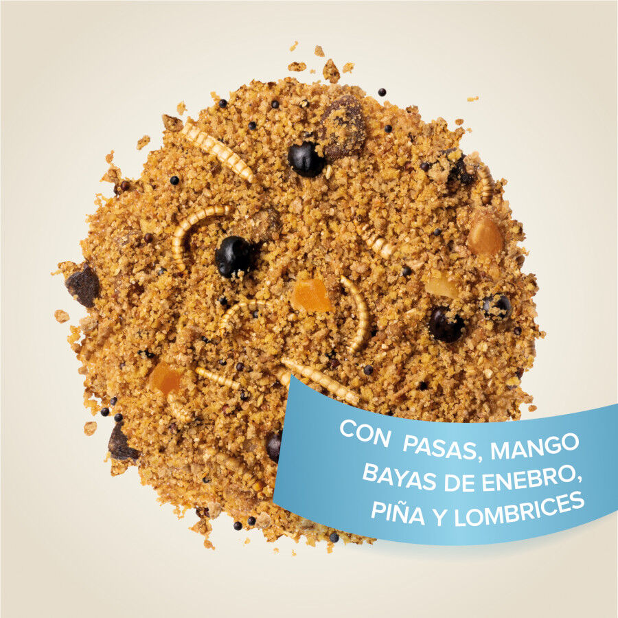 Beaphar Alimento Universal para Aves, , large Imagen numero 4