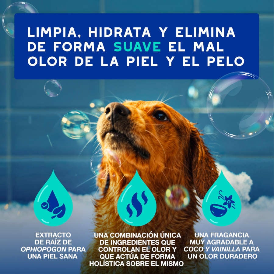 Ceva Douxo Spa Champ&uacute; Antiolor para perros, , large Imagen numero 8
