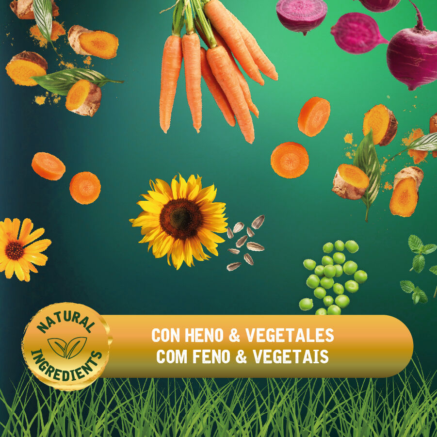 4 kg Small Life Selection Premium Men&uacute; Pienso para cobaya, , large Imagen numero 4