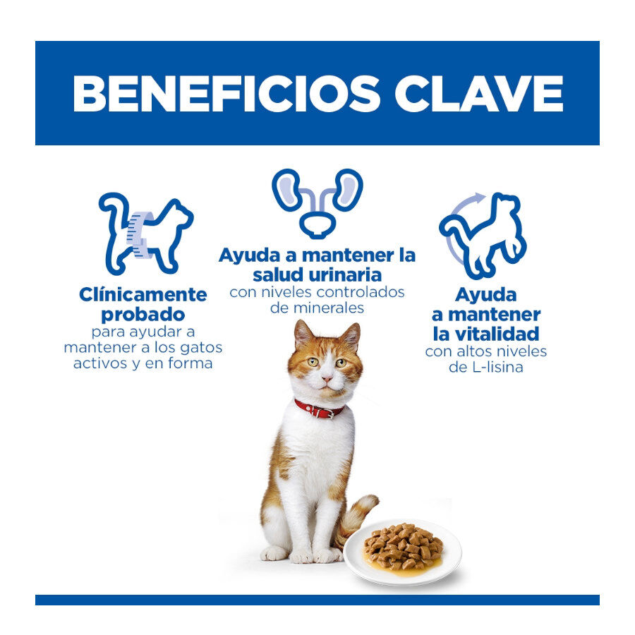 85 g Hill's Science Plan Sterilized Young Adult Pollo sobre para gatos, , large Imagen numero 4