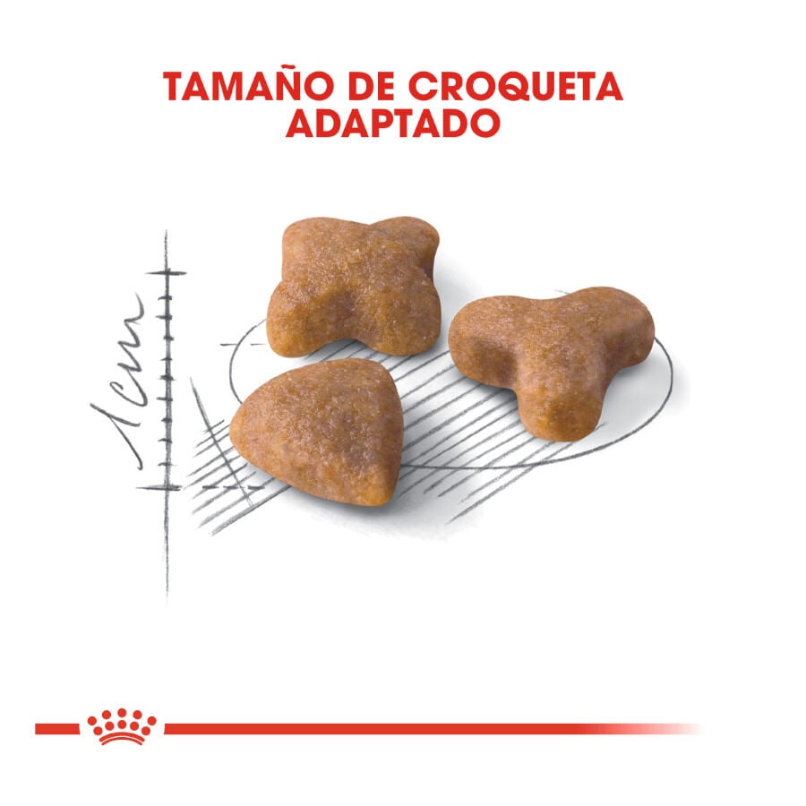 10 kg Royal Canin Regular Sensible 33 pienso para gatos, , large Imagen numero 3